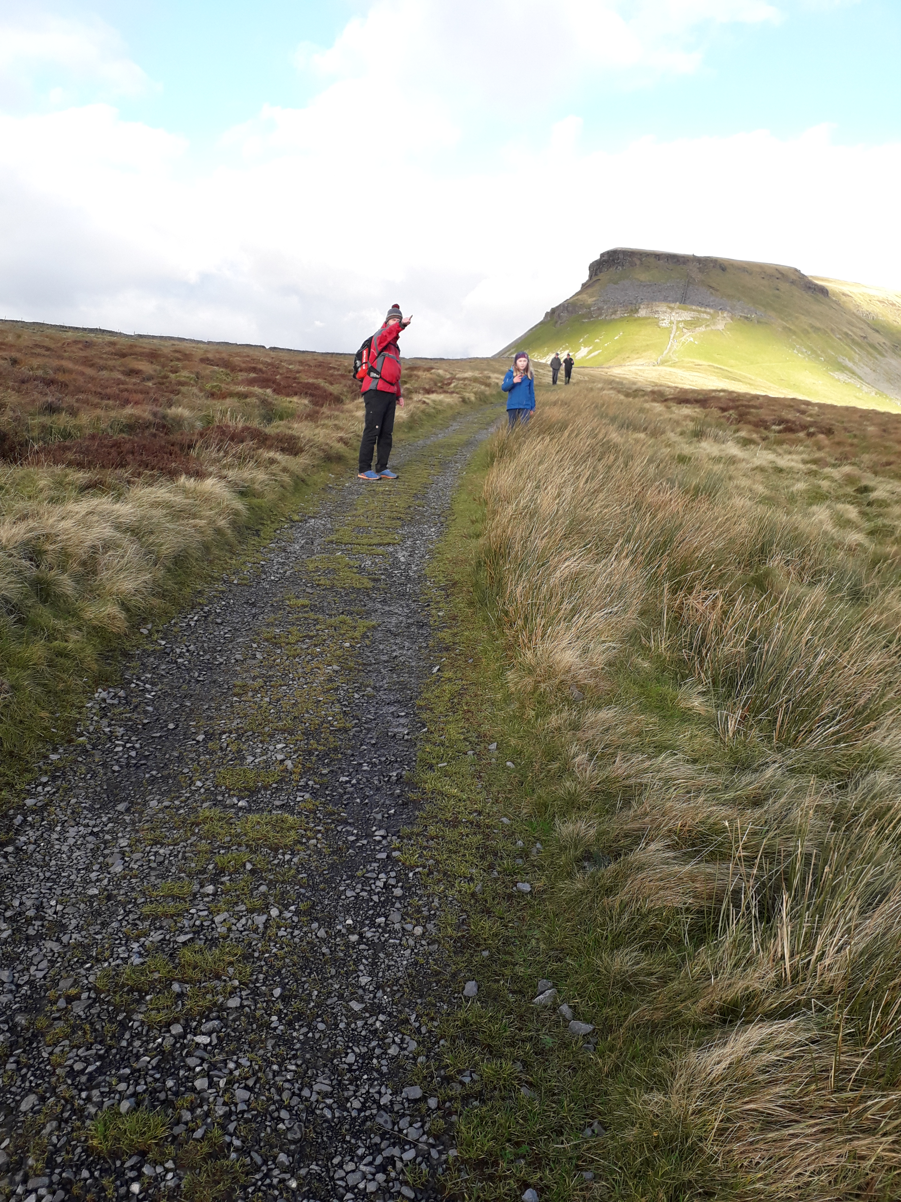 Guided Walks – Wolftracks